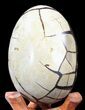Septarian Dragon Egg Geode - Crystal Filled #40901-3